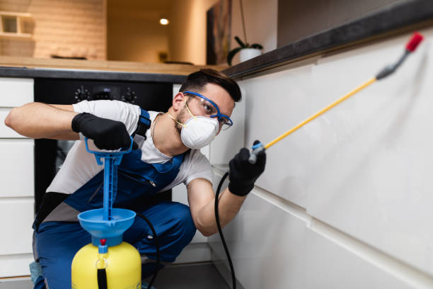 Best Pest Prevention Services  in Whiting, WI