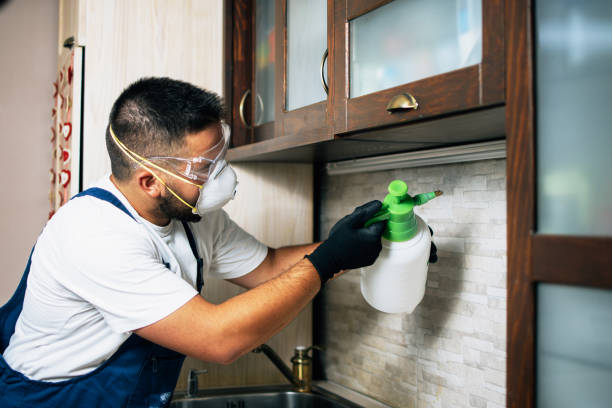 Best Residential Pest Control  in Whiting, WI