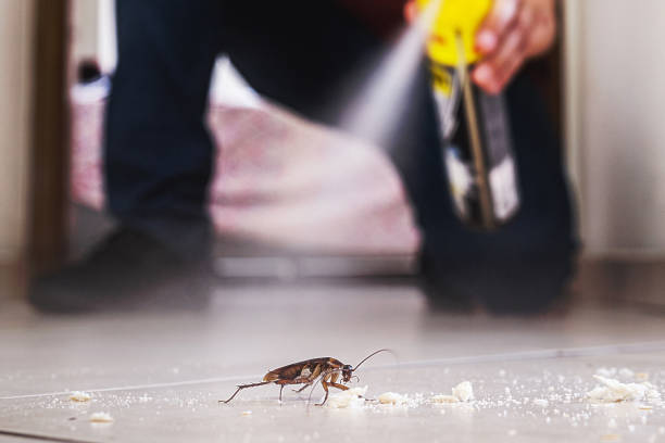 Best Best Pest Control Companies  in Whiting, WI